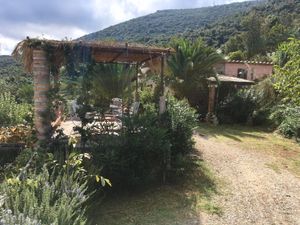 22920875-Ferienhaus-5-Rio Nell'Elba-300x225-1