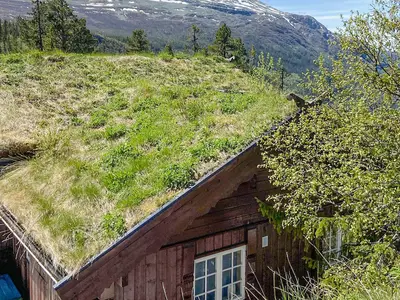 view-from-room