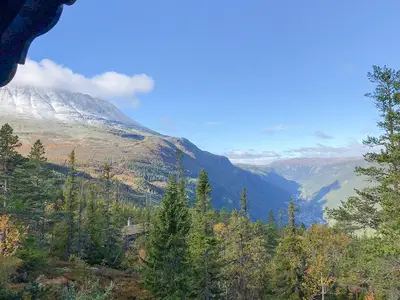 view-from-room