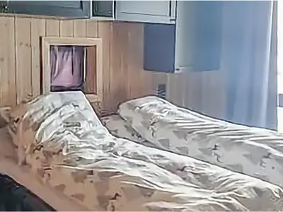 bed