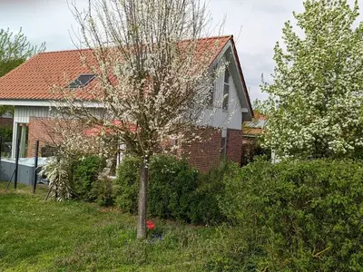 Ferienhaus für 9 Personen (125 m²) in Röbel/Müritz 6/10