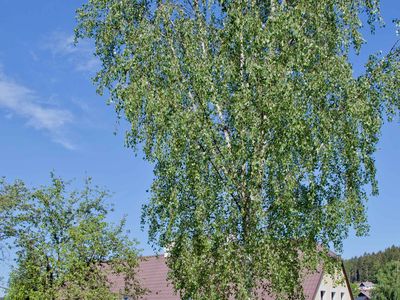 Ferienhaus für 16 Personen (200 m²) in Rochlitz an der Iser 2/10