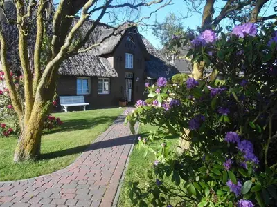 Ferienhaus für 7 Personen (83 m²) in Morsum (Sylt) 4/10