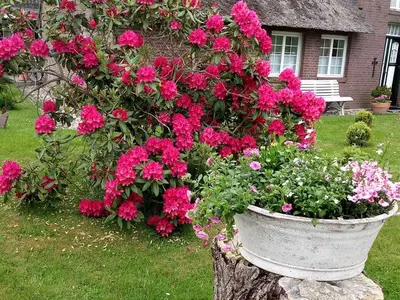 Ferienhaus für 7 Personen (83 m²) in Morsum (Sylt) 10/10