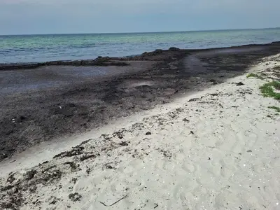WaterView