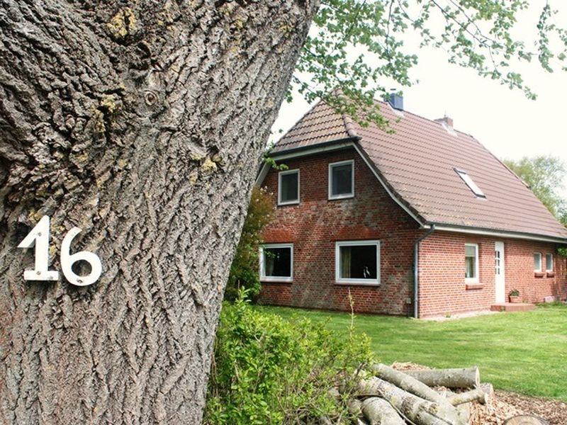 18591410-Ferienhaus-4-Rodenäs-800x600-1