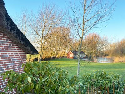 Blick in den Garten mit Teich.