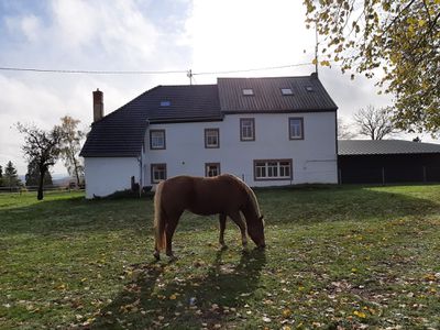 Ferienhaus mit einer Pferdewiede direkt am Haus