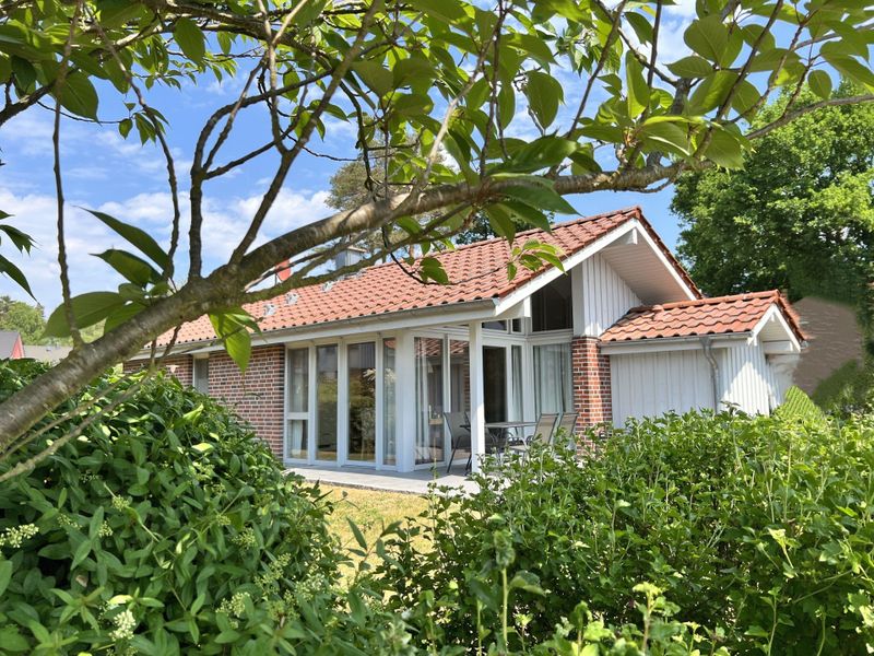 23893463-Ferienhaus-4-Röbel/Müritz-800x600-1