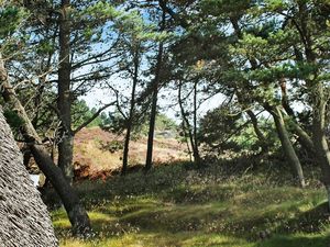 Ferienhaus für 6 Personen (80 m&sup2;) in Rømø