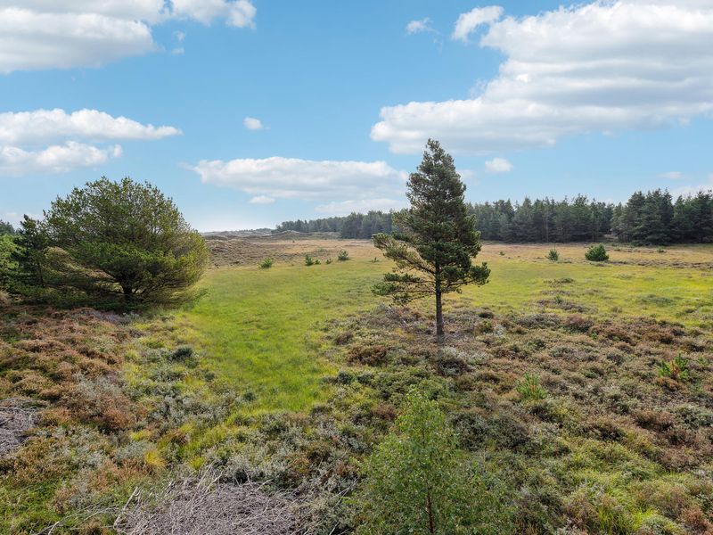 23753250-Ferienhaus-6-Rømø-800x600-1