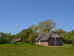 Ferienhaus für 6 Personen (100 m²) in Rømø