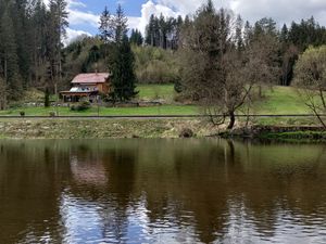 23867503-Ferienhaus-6-Rohrbach (in Oberösterreich)-300x225-4