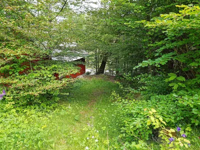 Outdoor