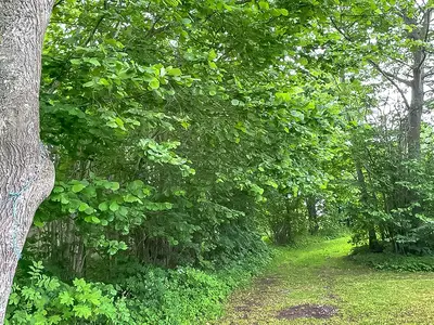 outside