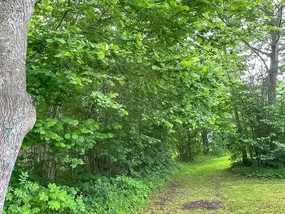 outside
