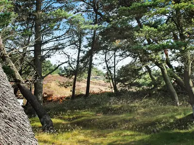 Outdoor