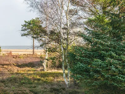 WaterView