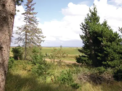 view-from-room