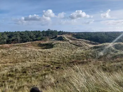 Activity
