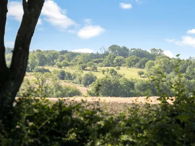 view-from-room