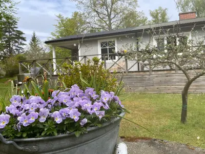 Outdoor