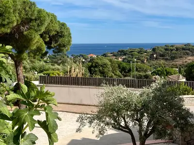 view-from-room