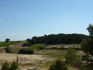 23534902-Ferienhaus-6-Roquefort Des Corbières-300x225-4