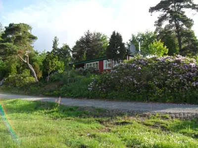 Haus umgeben von Rhododendren