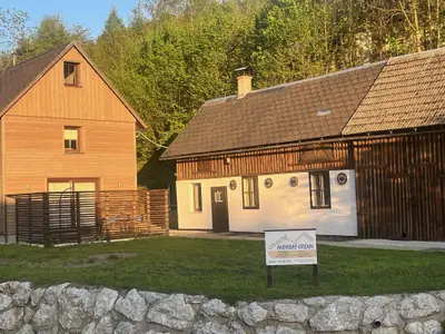 Rosenau_13