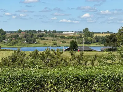 view-from-room