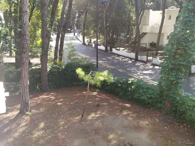 Ferienhaus für 8 Personen (100 m²) in Rosolina Mare 6/10
