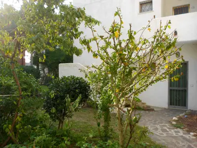 Ferienhaus für 5 Personen (35 m²) in Rosolina Mare 2/10