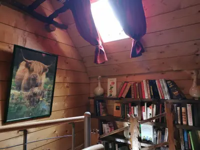 Bild 9