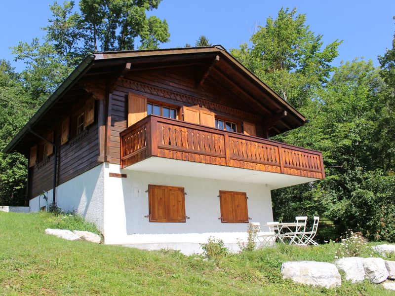 21528011-Ferienhaus-6-Rougemont-800x600-1