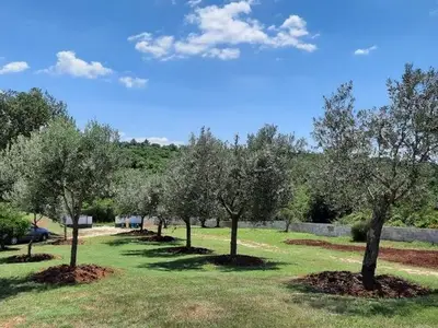 Ferienhaus für 4 Personen in Rovinj 7/10