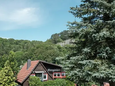 ViewSummer