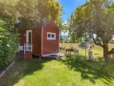 Ferienhaus für 4 Personen (21 m²) in Rubkow 1/10