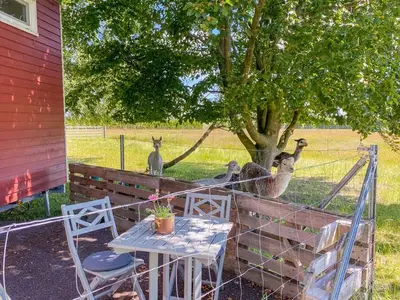 Ferienhaus für 4 Personen (21 m²) in Rubkow 5/10