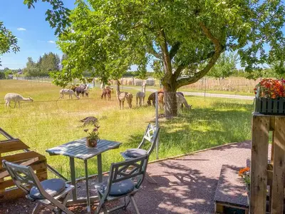Ferienhaus für 4 Personen (21 m²) in Rubkow 7/10