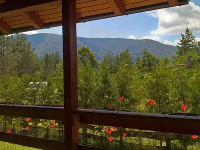 Ausblick aus dem Fenster