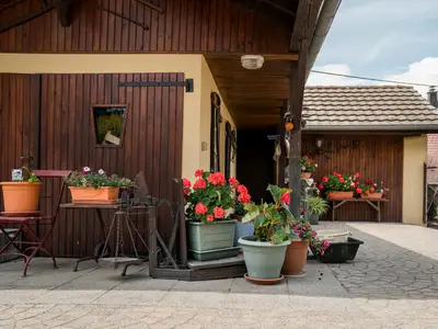 GardenSummer