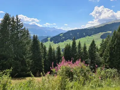 Ferienhaus für 6 Personen in Rueun 9/10