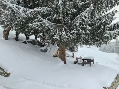 Ferienhaus für 6 Personen in Rueun 9/10