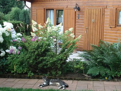 Tierische Besucher vor dem Ferienhaus Wenzel