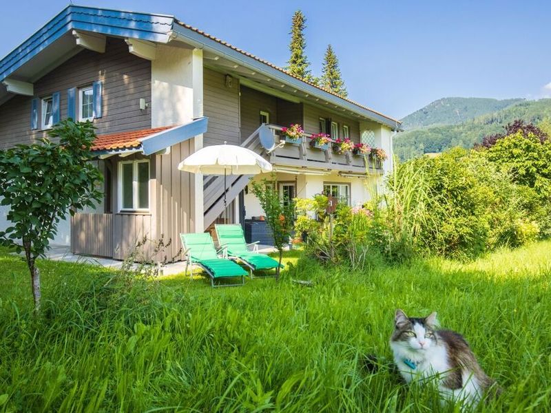 23981406-Ferienhaus-2-Ruhpolding-800x600-2