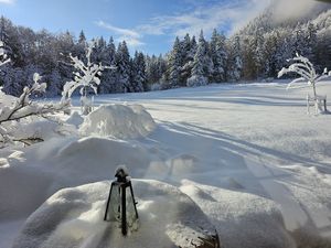 23692416-Ferienhaus-4-Ruhpolding-300x225-5