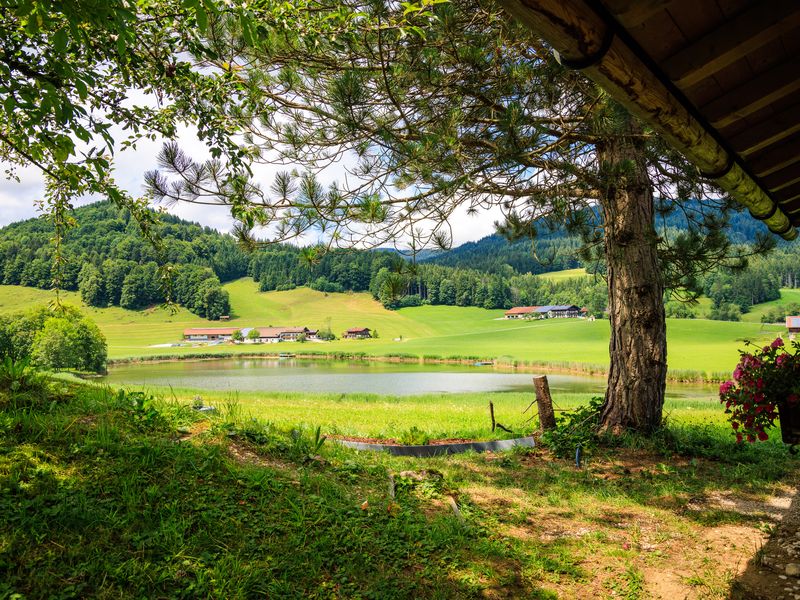 23534868-Ferienhaus-10-Ruhpolding-800x600-2