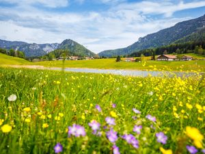 23534868-Ferienhaus-10-Ruhpolding-300x225-4