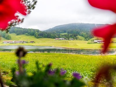 Seeblick von der Gartenhütte aus